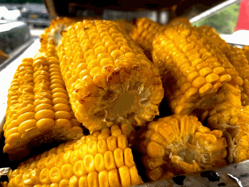 Grilled Corn on the Cob