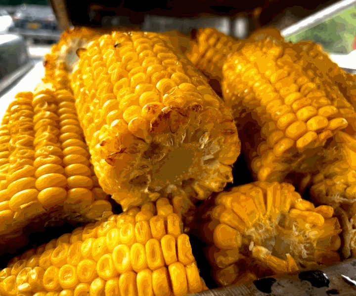 Grilled Corn on the Cob