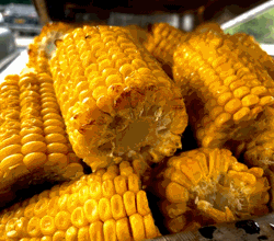 Grilled Corn on the Cob