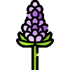 Allergen Lupin